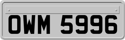 OWM5996