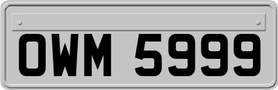 OWM5999