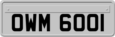 OWM6001