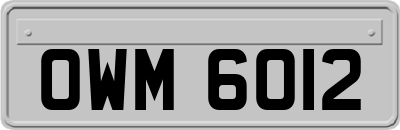 OWM6012