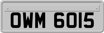 OWM6015
