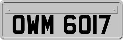 OWM6017