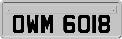 OWM6018