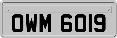 OWM6019