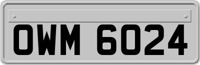 OWM6024