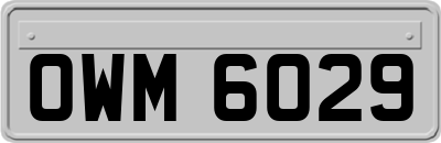 OWM6029