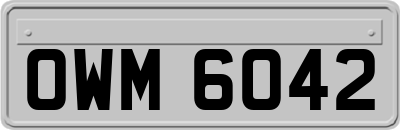 OWM6042