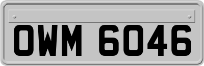 OWM6046