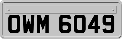OWM6049