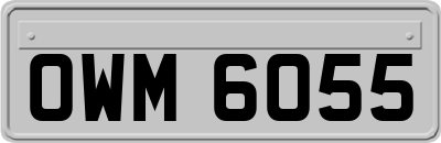 OWM6055
