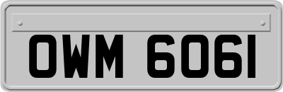 OWM6061