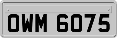OWM6075