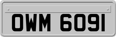 OWM6091