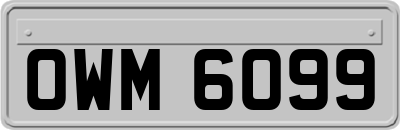OWM6099