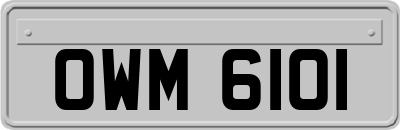 OWM6101