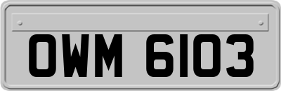 OWM6103