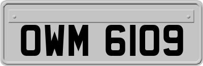 OWM6109