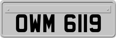 OWM6119