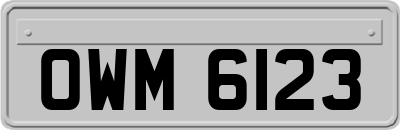 OWM6123
