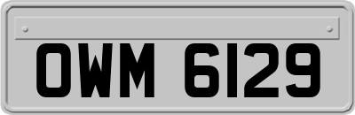 OWM6129