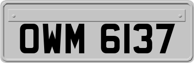 OWM6137