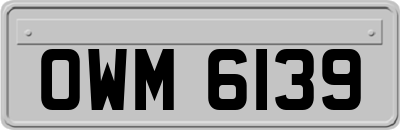 OWM6139