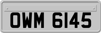 OWM6145