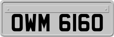 OWM6160