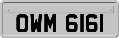 OWM6161