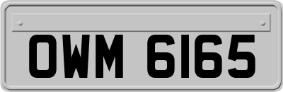 OWM6165