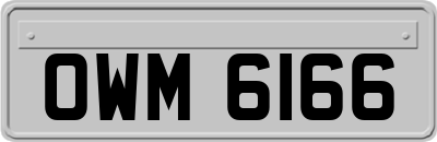 OWM6166