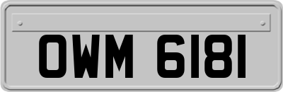 OWM6181