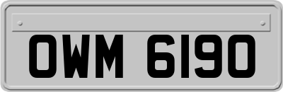 OWM6190