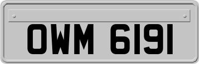OWM6191