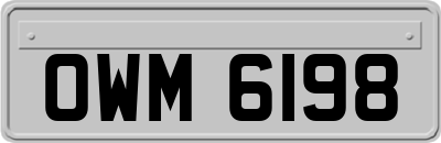 OWM6198