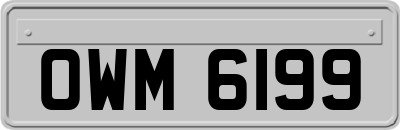 OWM6199