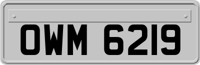 OWM6219