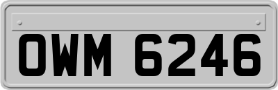 OWM6246