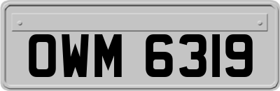 OWM6319