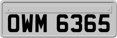 OWM6365
