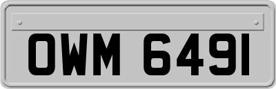OWM6491