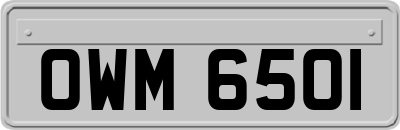 OWM6501