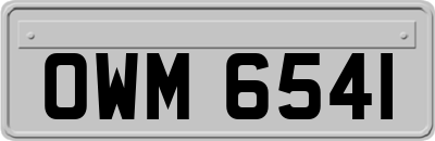OWM6541