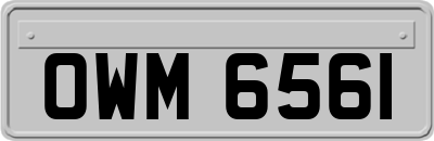 OWM6561
