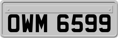 OWM6599
