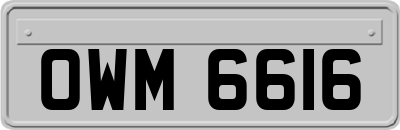 OWM6616