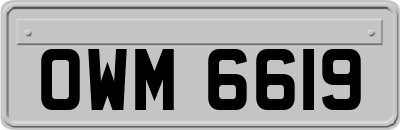 OWM6619