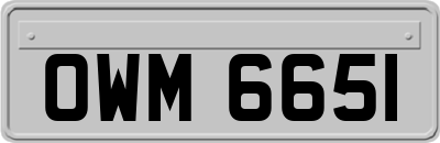 OWM6651