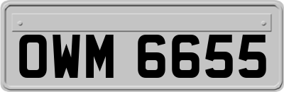 OWM6655