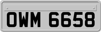 OWM6658